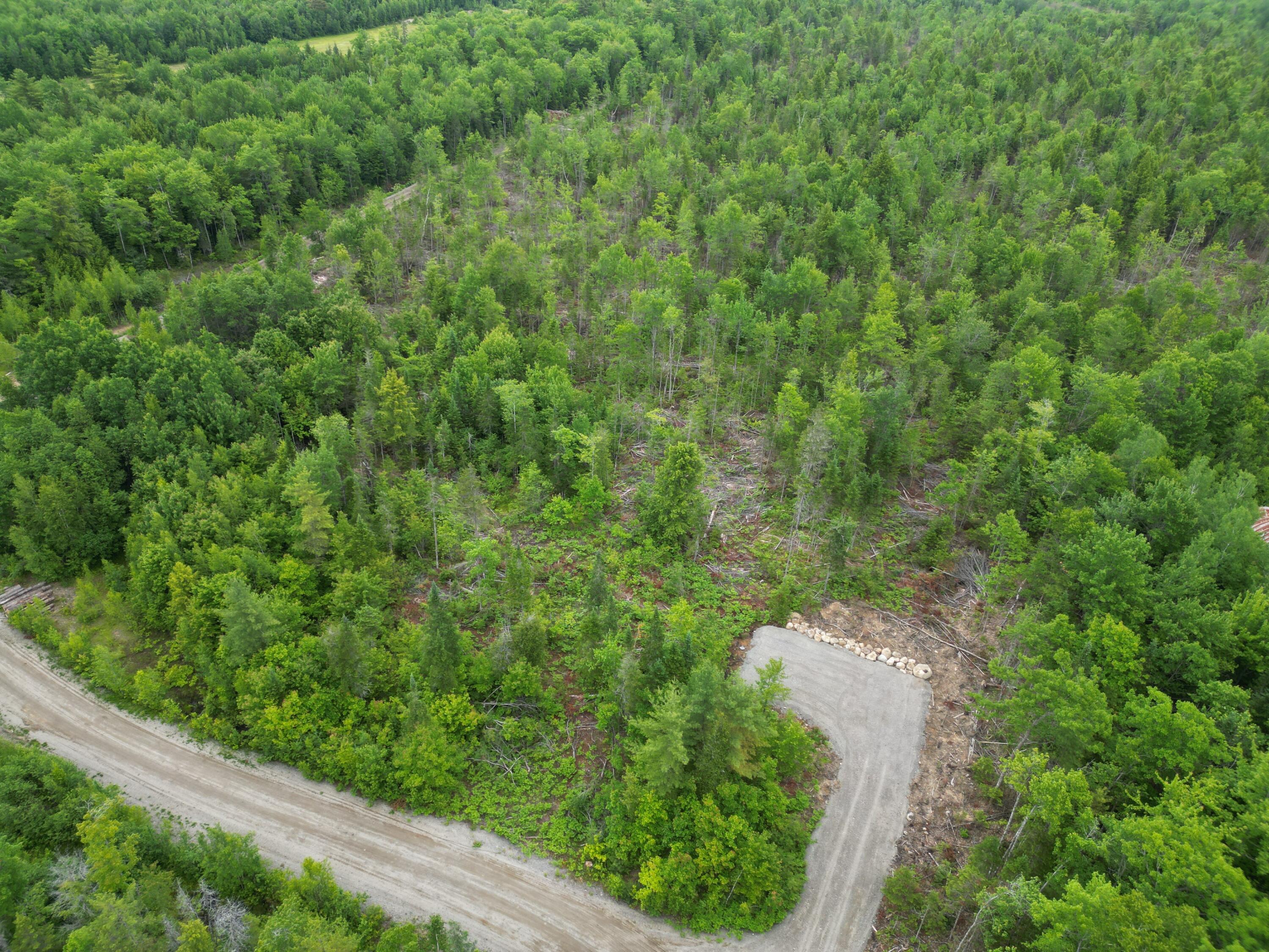 Off Main Road Passadumkeag, ME 04475 - Photo 12 of 13 DJI_0351