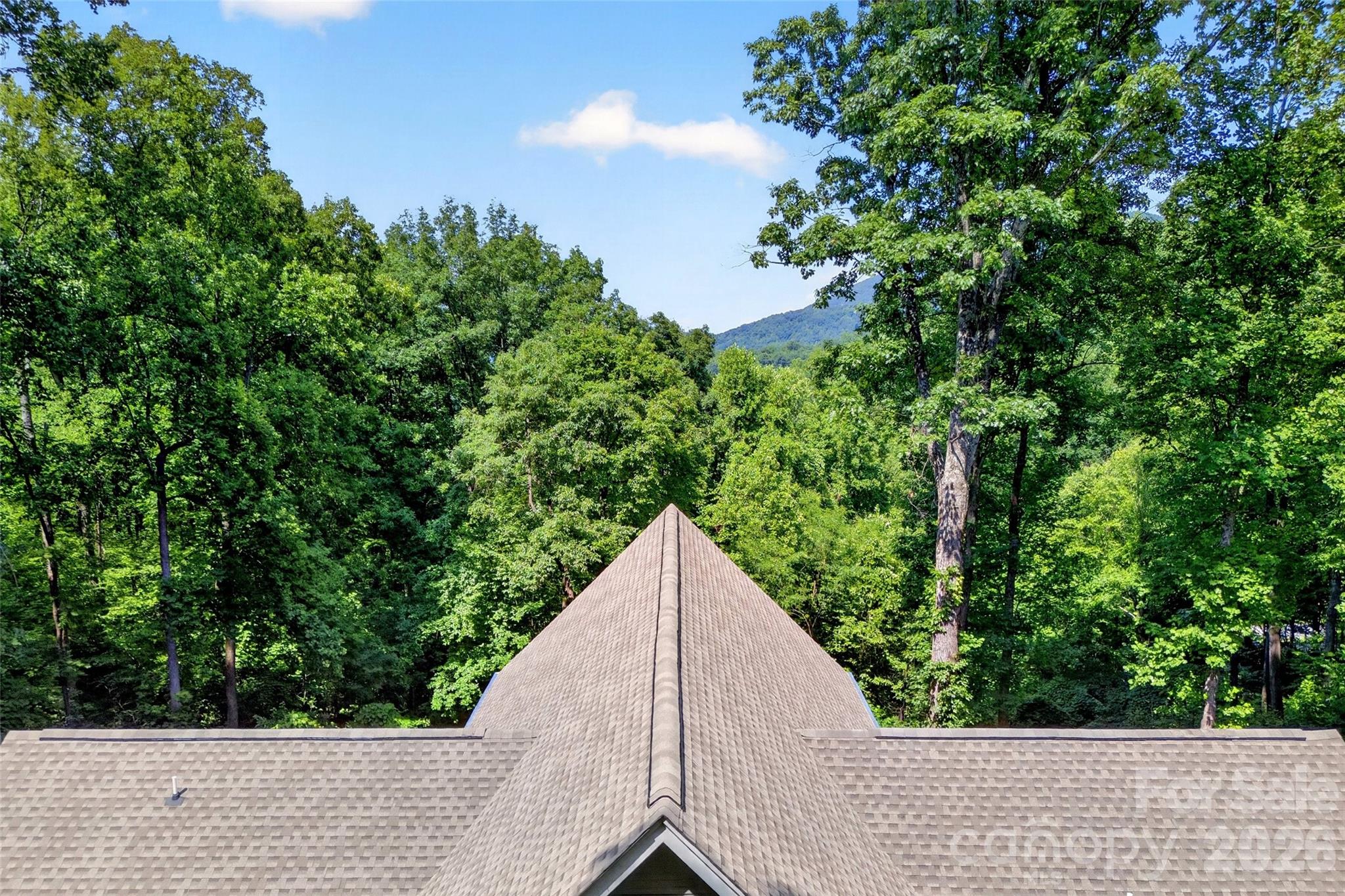 771 Sally Gap Road Old Fort, NC 28762 - Photo 48 of 48