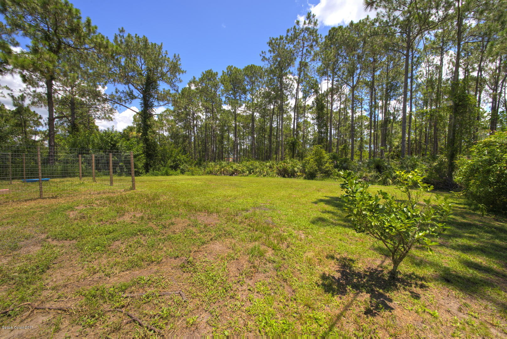 665 Weaver Road Southwest Palm Bay, FL 32908 - Photo 21 of 21 Back yard