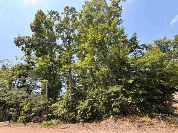 $29,995 | 0 Yellow Creek Lane, Counce, TN 38326