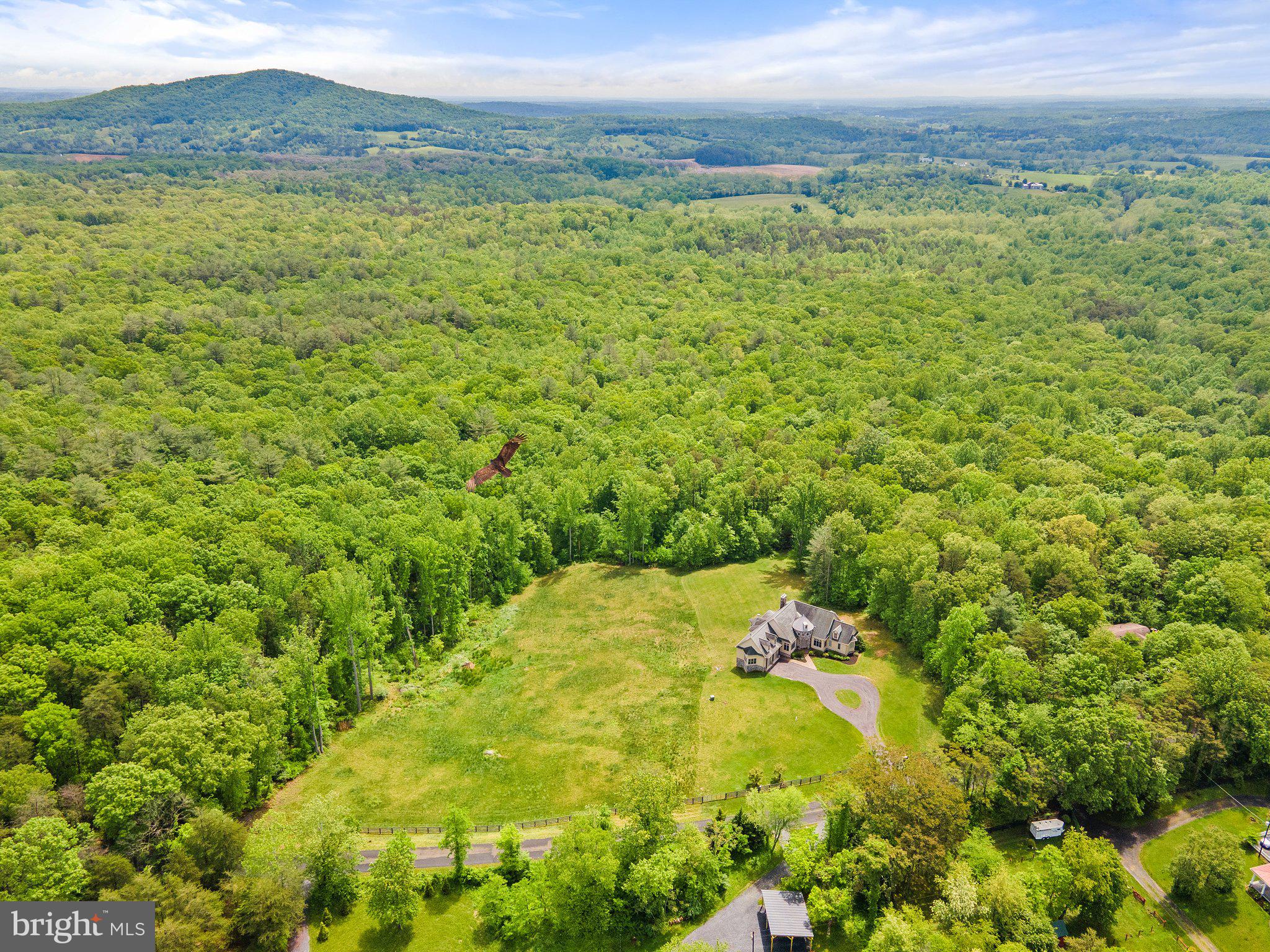 324 Aaron Mountain Road Castleton, VA 22716 - Photo 4 of 81