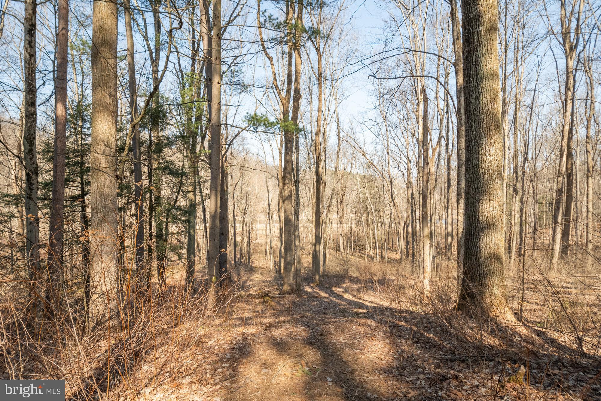 1519 Friendsville Addison Road Friendsville, MD 21531 - Photo 53 of 79 Gallery Image 53