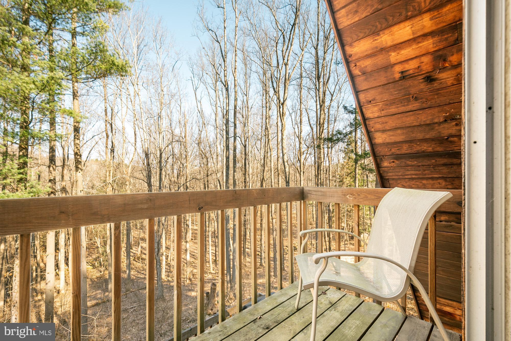1519 Friendsville Addison Road Friendsville, MD 21531 - Photo 60 of 79 Gallery Image 60