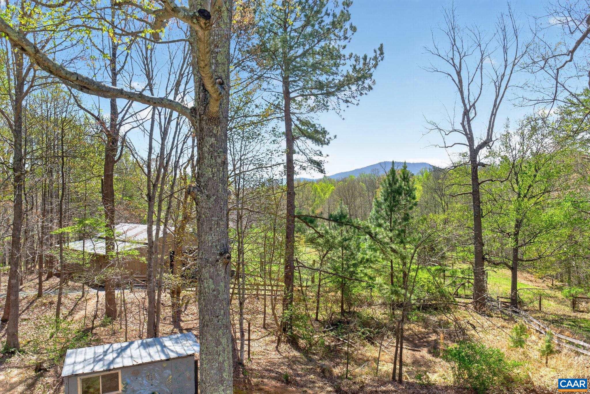 7087 Dick Woods Road Afton, VA 22920 - Photo 23 of 68