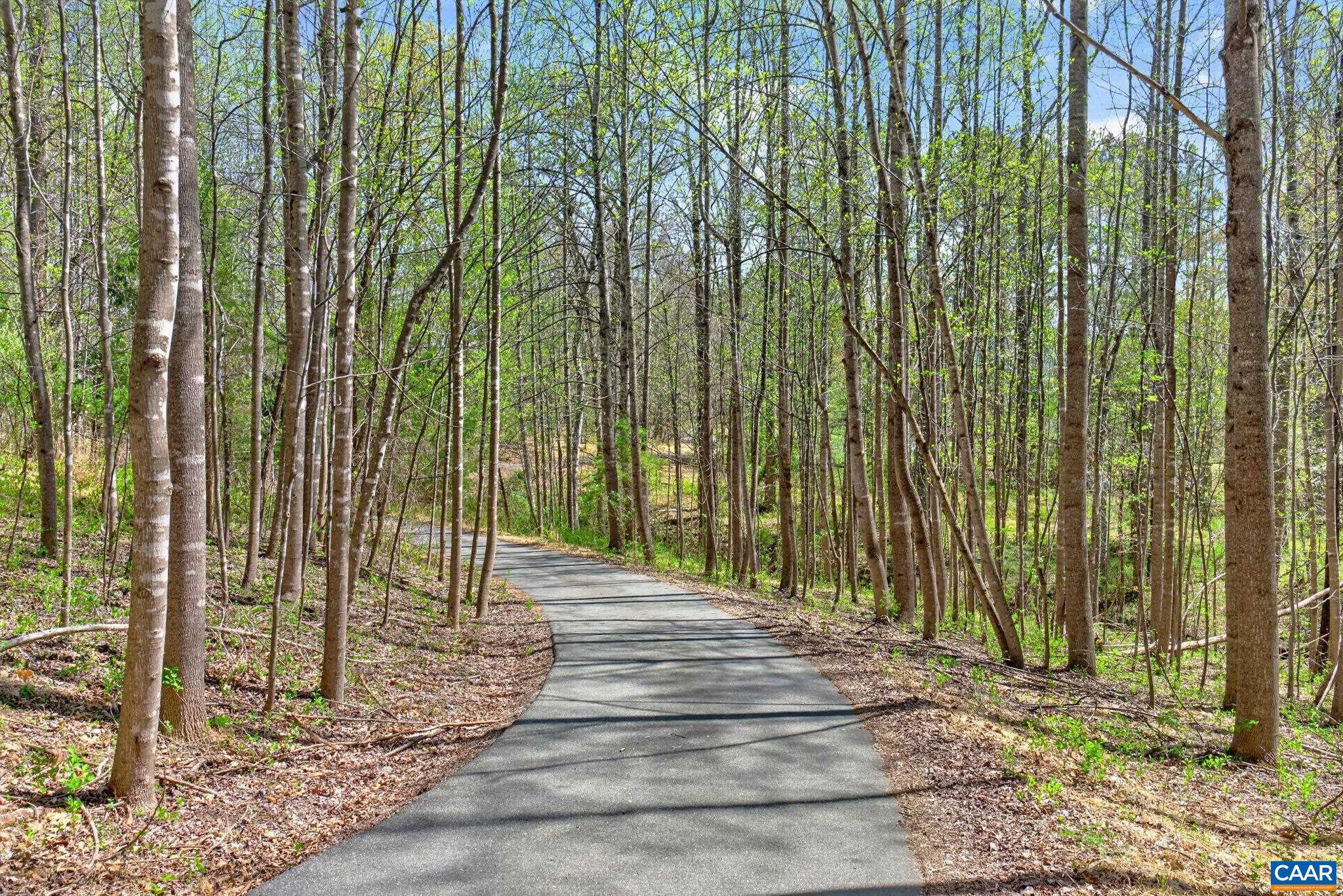 7087 Dick Woods Road Afton, VA 22920 - Photo 4 of 68