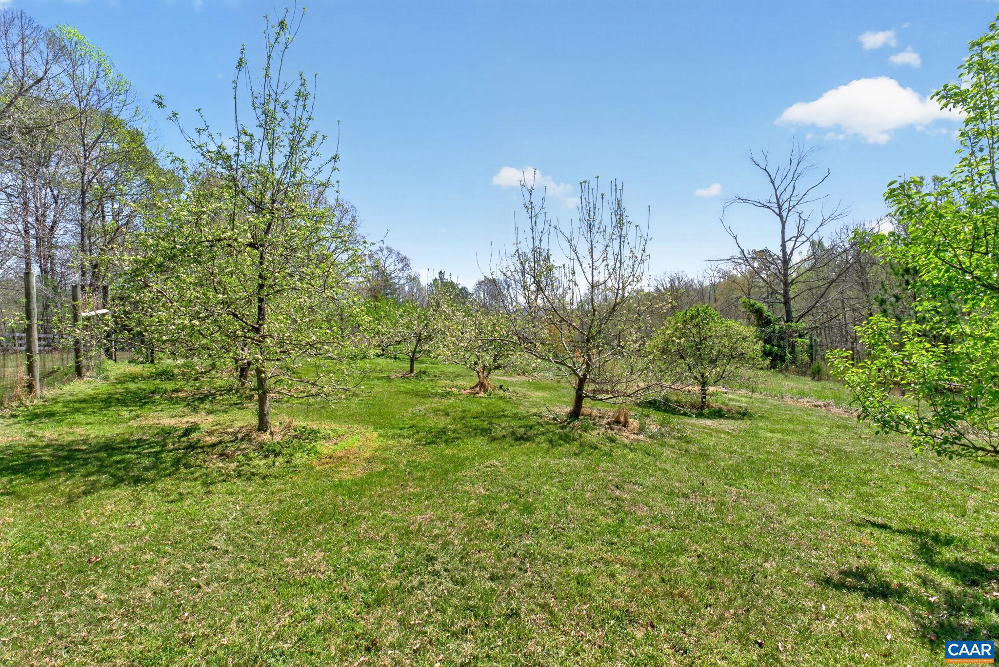 7087 Dick Woods Road Afton, VA 22920 - Photo 50 of 68