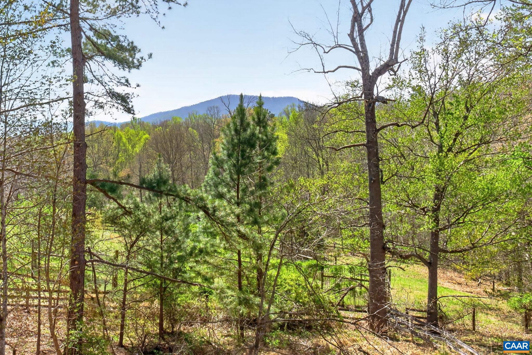 7087 Dick Woods Road Afton, VA 22920 - Photo 5 of 68