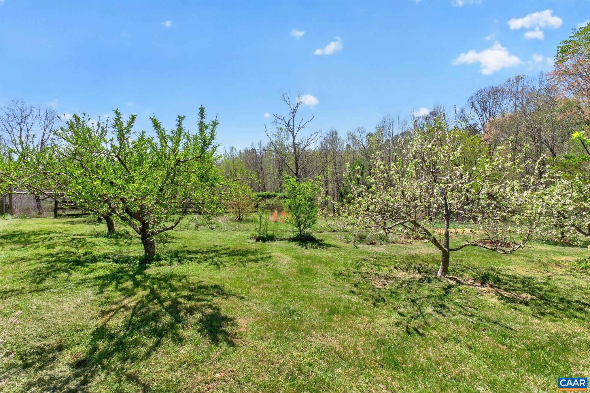 7087 Dick Woods Road Afton, VA 22920 - Photo 51 of 68