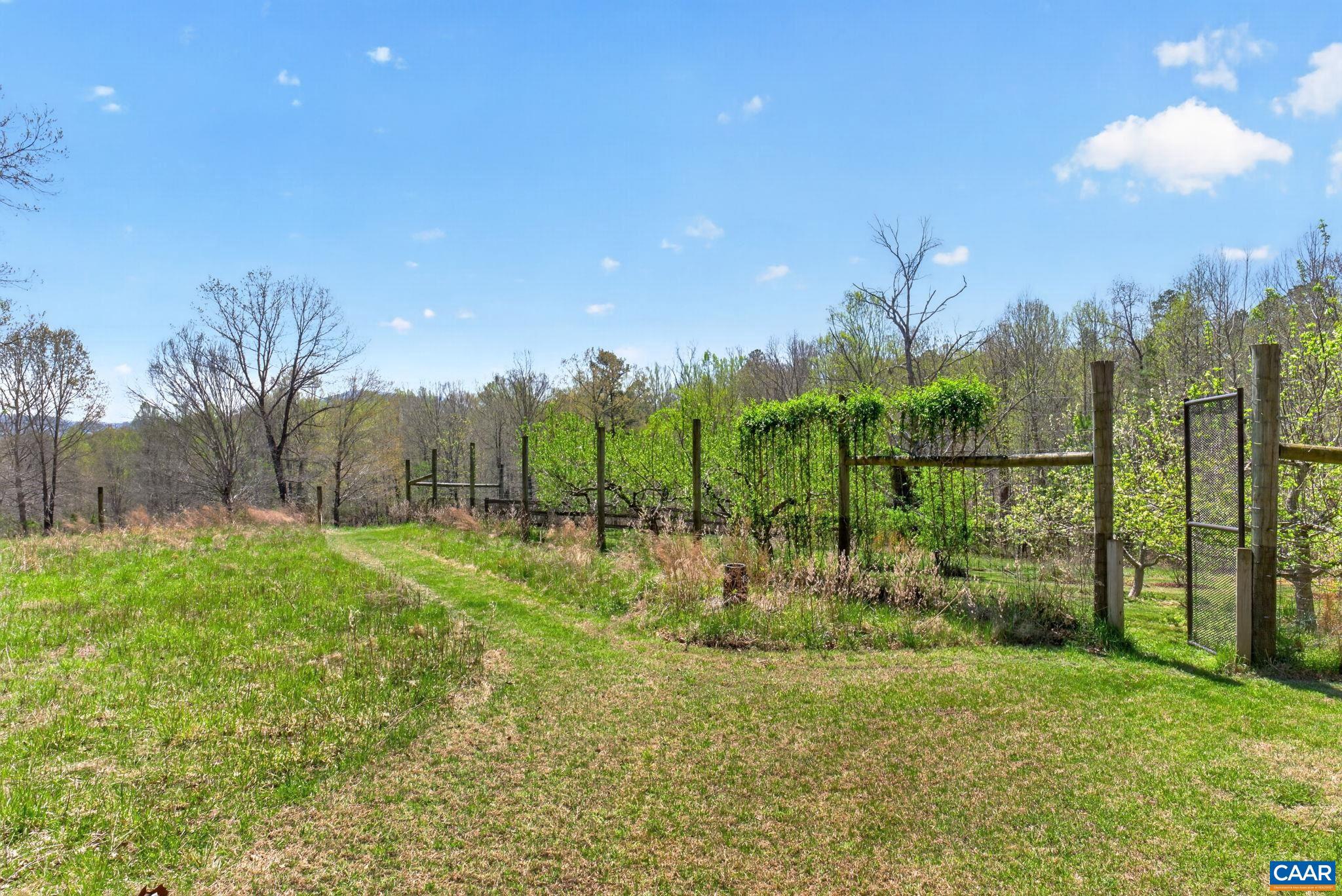7087 Dick Woods Road Afton, VA 22920 - Photo 58 of 68