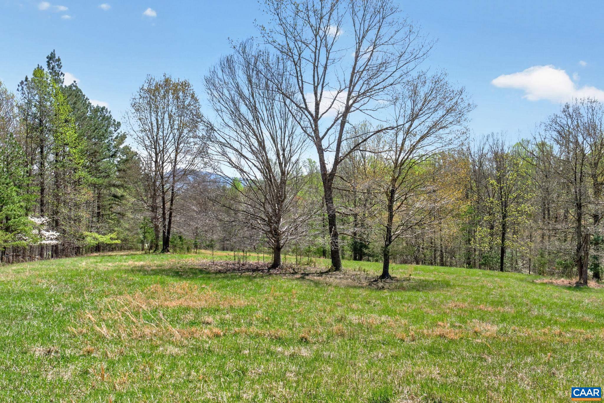 7087 Dick Woods Road Afton, VA 22920 - Photo 59 of 68