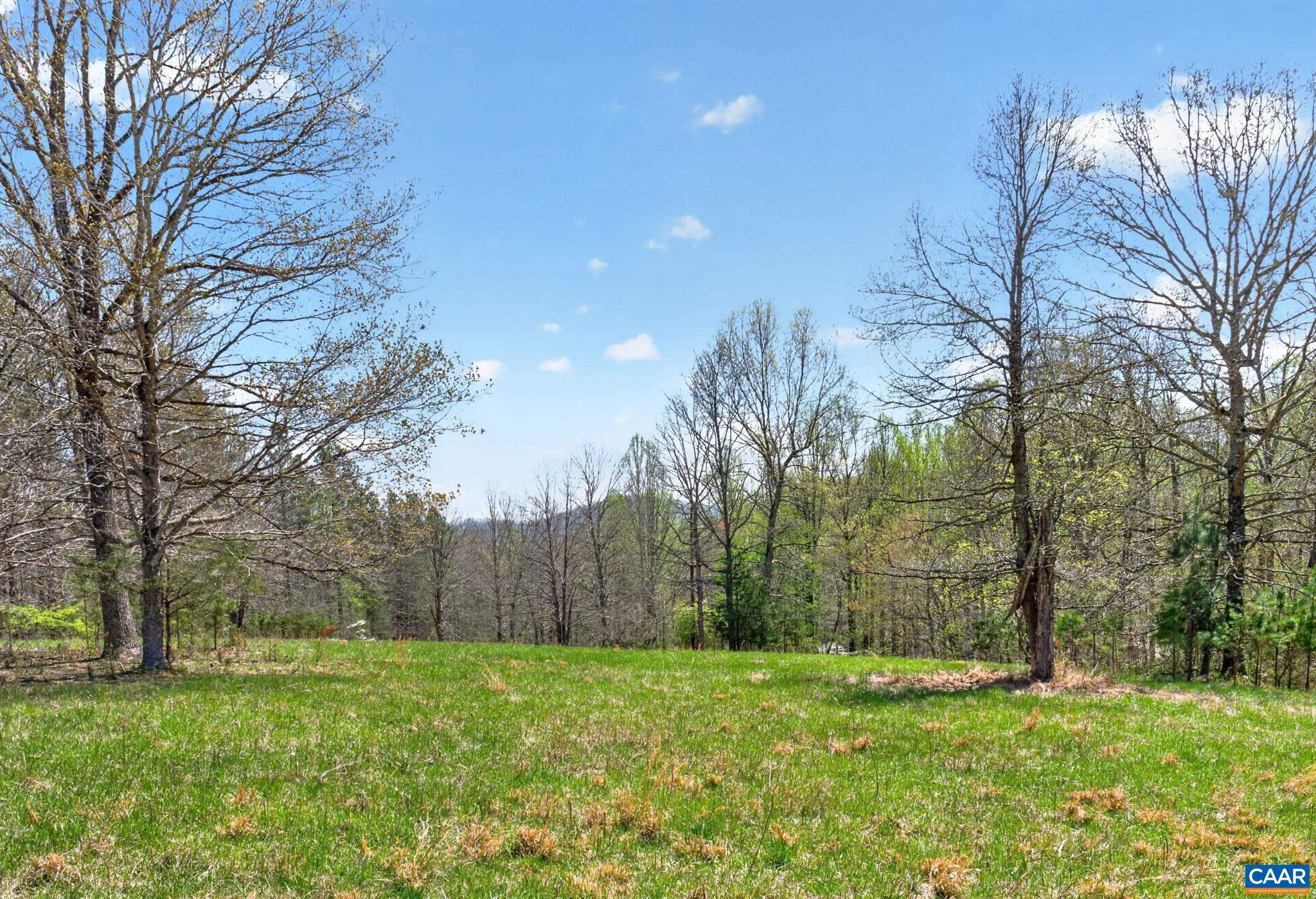 7087 Dick Woods Road Afton, VA 22920 - Photo 60 of 68