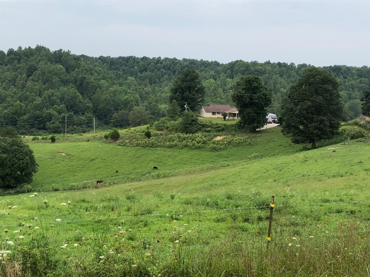 1160 Kelly Branch Road London, KY 40741 - Photo 44 of 49 Photo 44