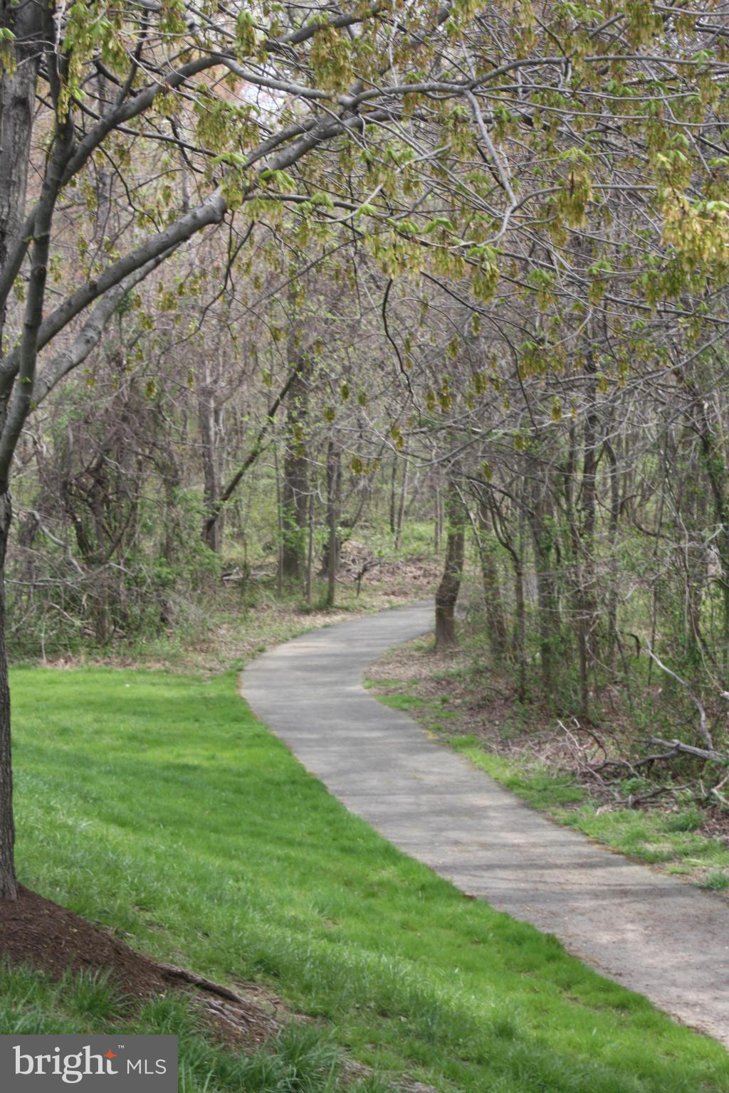 7610 Trail Run Road Falls Church, VA 22042 - Photo 27 of 29 Walking Trail in Luria Park