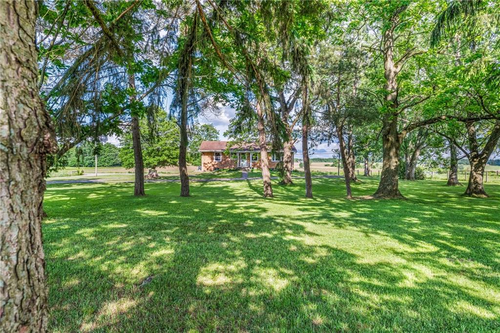 3205 Eastbrook Volant Road Volant, PA 16156 - Photo 24 of 29 a view of green field with trees