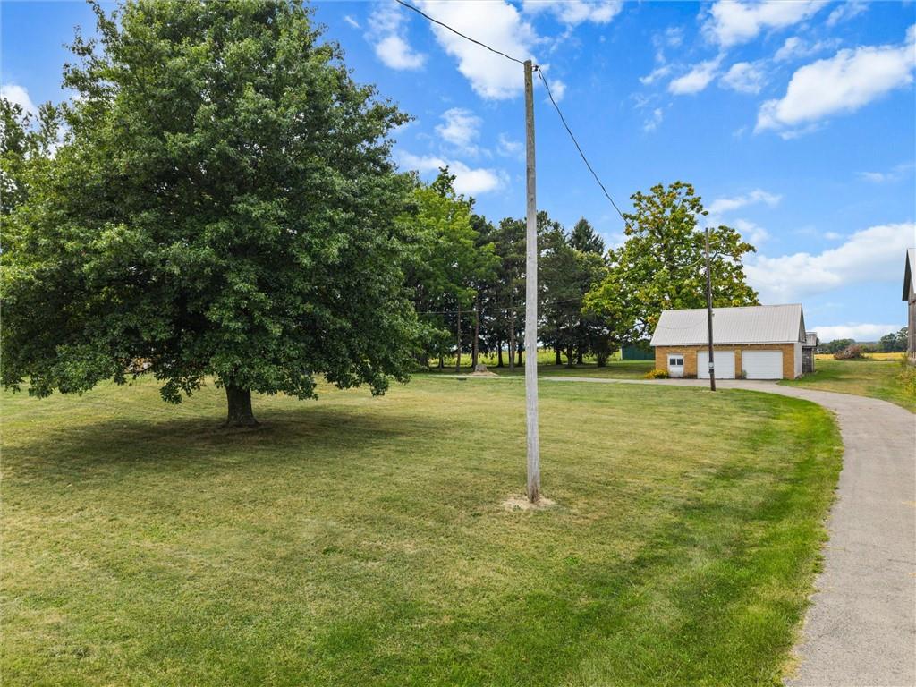 3205 Eastbrook Volant Road Volant, PA 16156 - Photo 6 of 29 a view of a trees with a yard