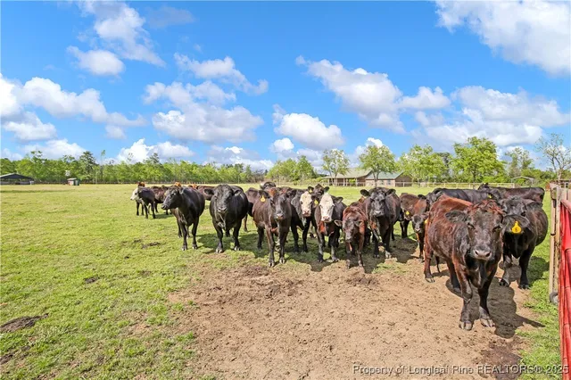 $675,000 | 464 Shand Drive, Pembroke, NC 28372