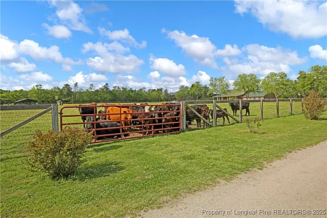 $675,000 | 464 Shand Drive, Pembroke, NC 28372