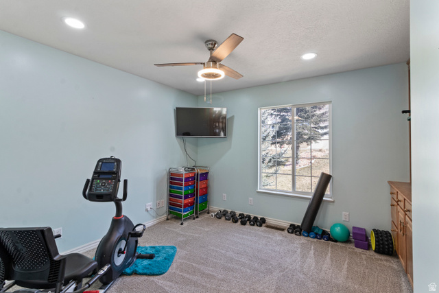 4117 North Wolf Ridge Circle Eden, UT 84310 - Photo 19 of 33