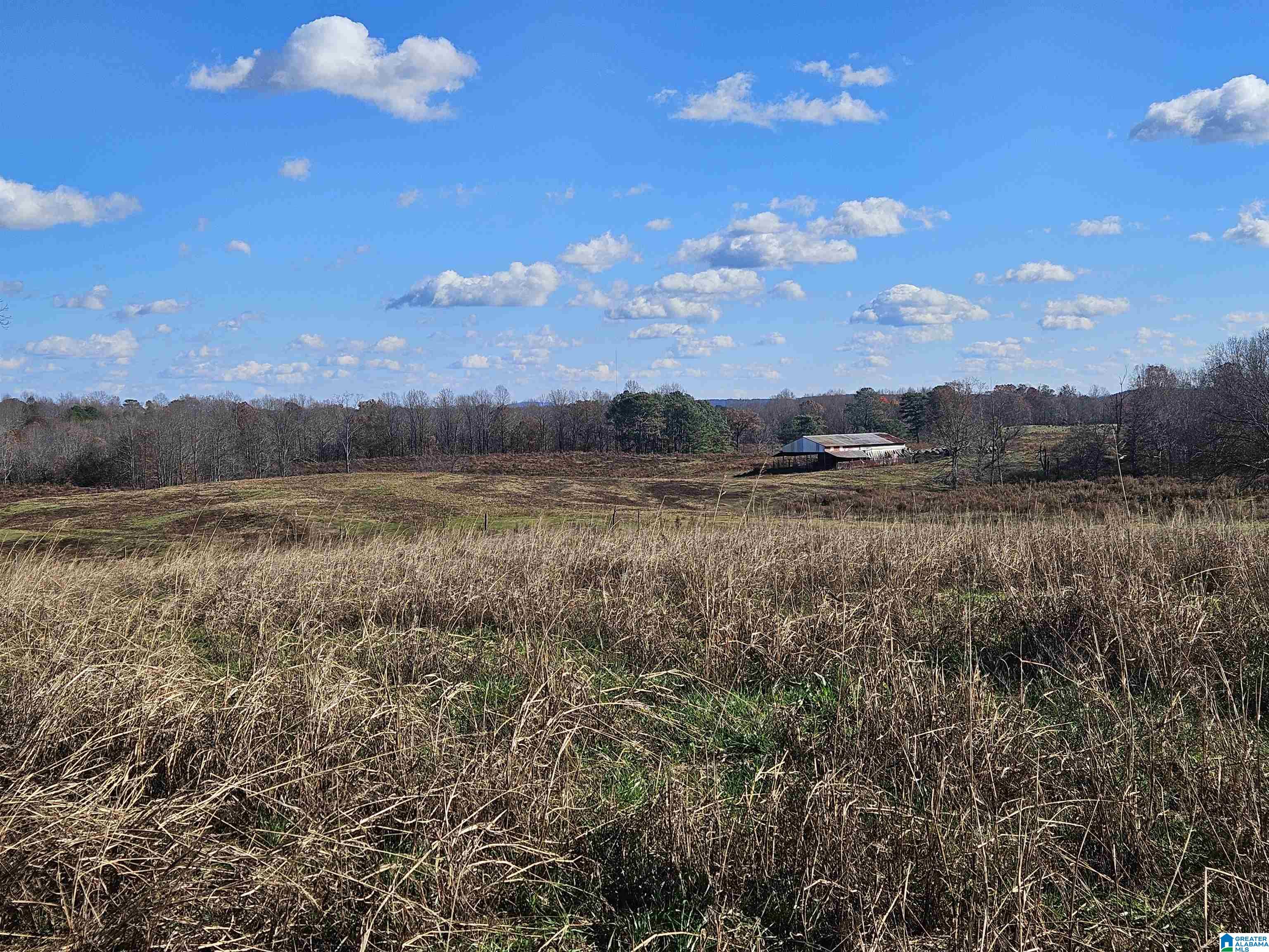 682 County Road 832 Logan, AL 35098 - Photo 47 of 48