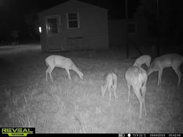 a view of a room with furniture and wooden floor