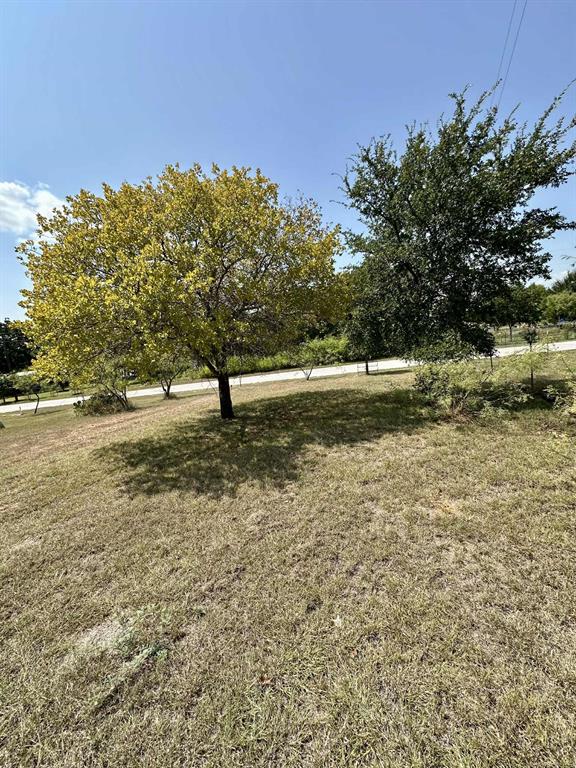 366 St Kitts Road Comanche, TX 76442 - Photo 7 of 20 a view of outdoor space with garden