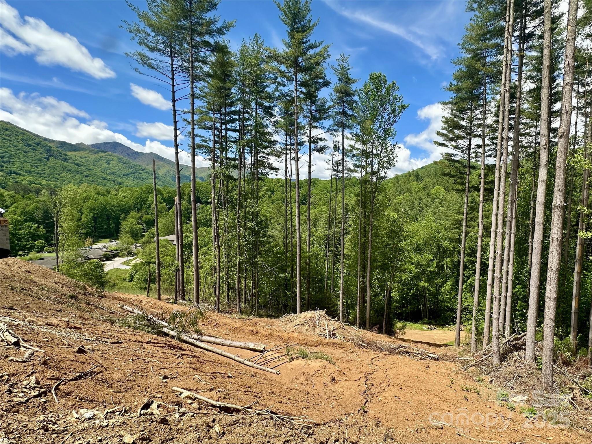 185 Southpoint Ridge Maggie Valley, NC 28751 - Photo 2 of 7