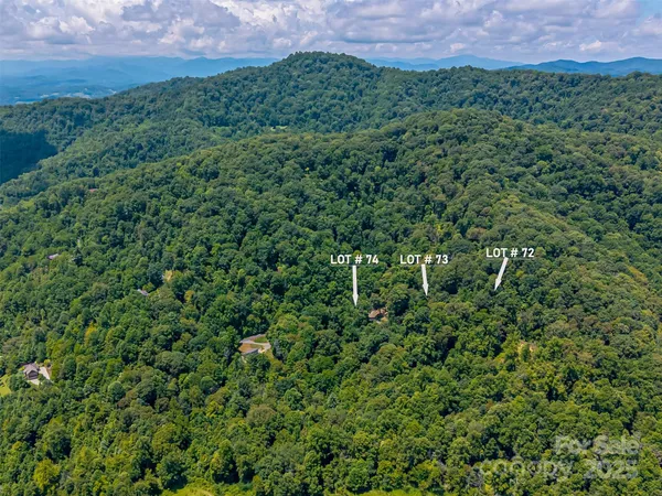 a view of a lush green forest with a houses