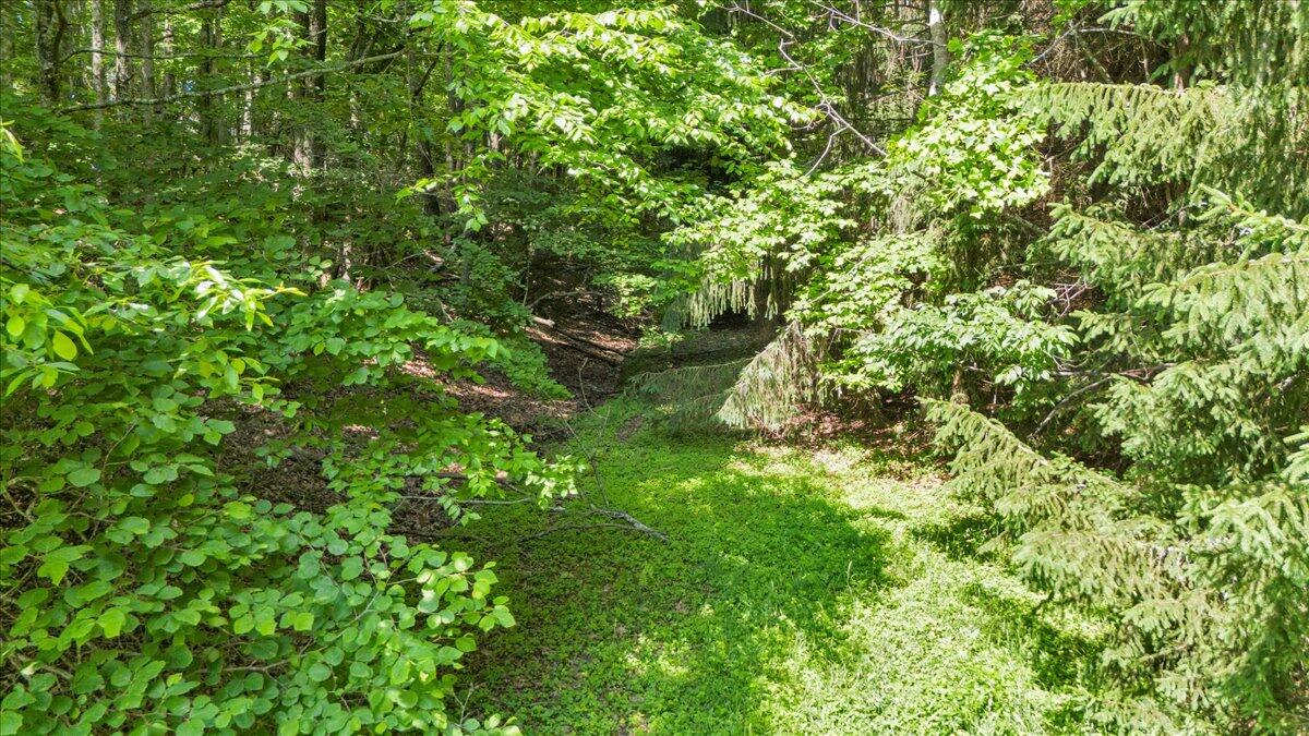563 Dusty Rock Road Northwest Riner, VA 24149 - Photo 11 of 27 10-DJI_20250603105024_0223_D