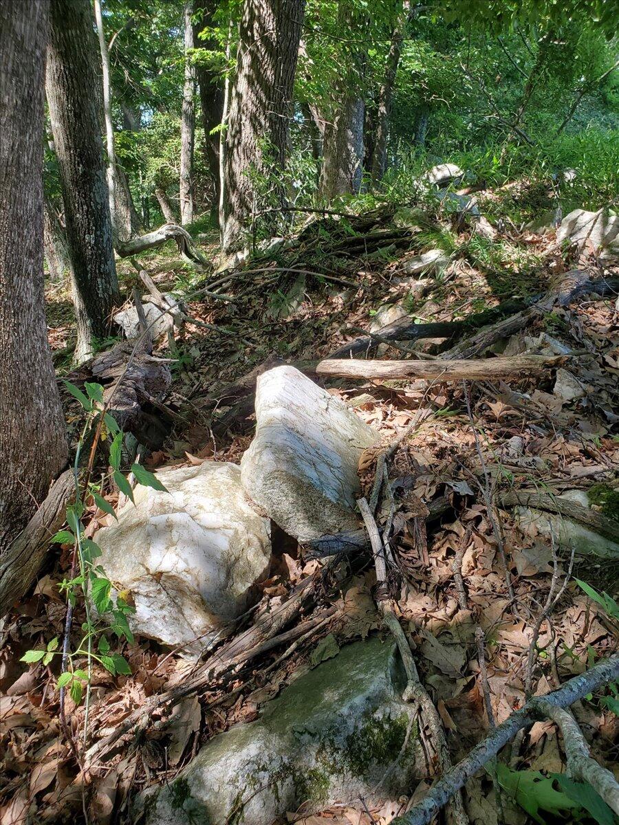 563 Dusty Rock Road Northwest Riner, VA 24149 - Photo 24 of 27 24-White Rocks