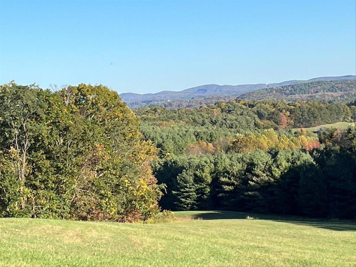 563 Dusty Rock Road Northwest Riner, VA 24149 - Photo 26 of 27 26-IMG_5669