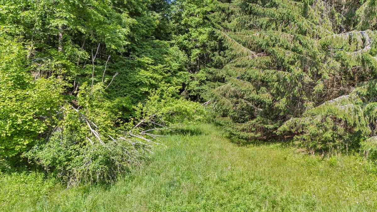 563 Dusty Rock Road Northwest Riner, VA 24149 - Photo 10 of 27 09-DJI_20250603105006_0222_D