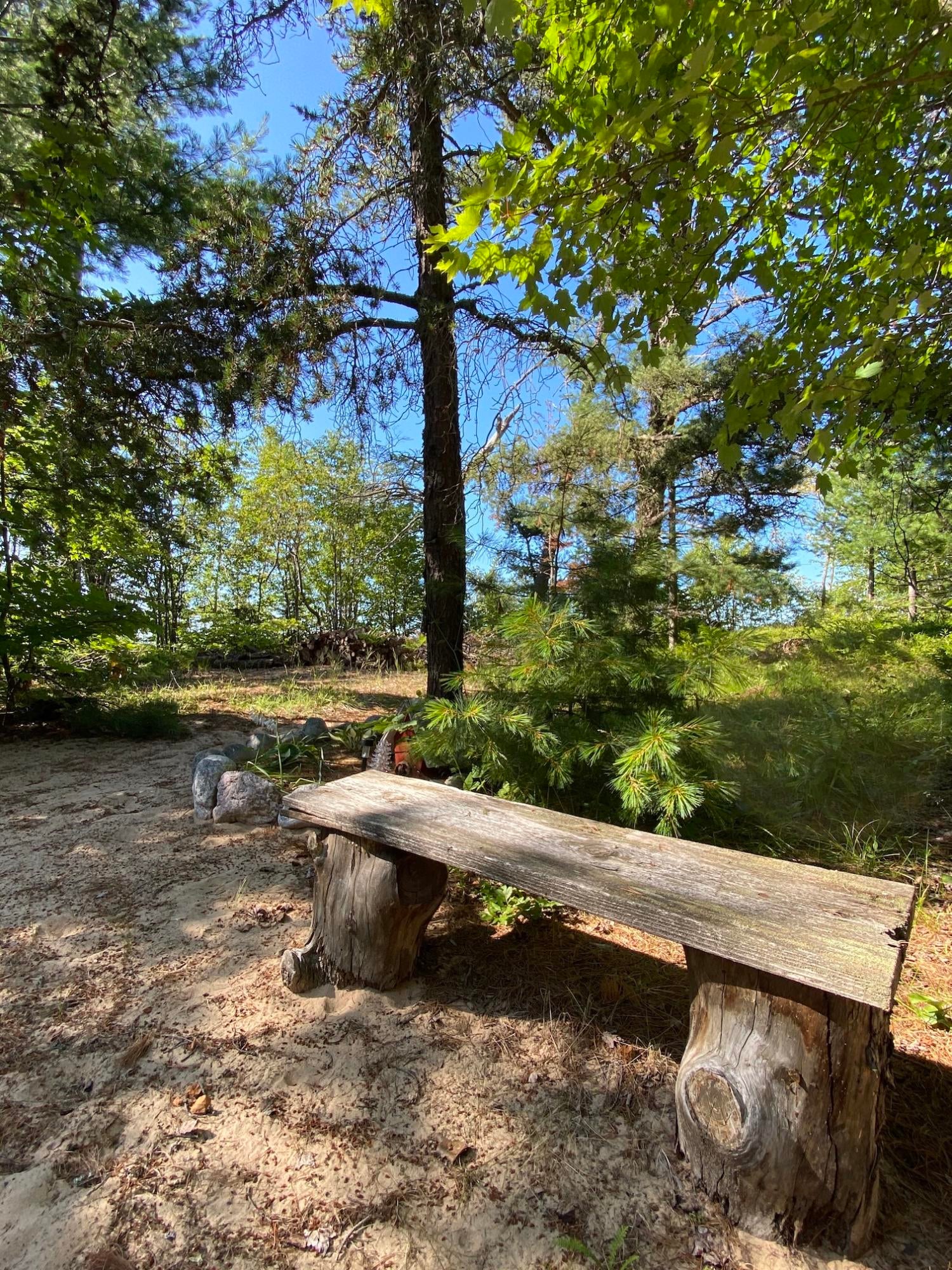 31057 West Wild Cat Road Paradise, MI 49768 - Photo 12 of 62 Gallery Image 12