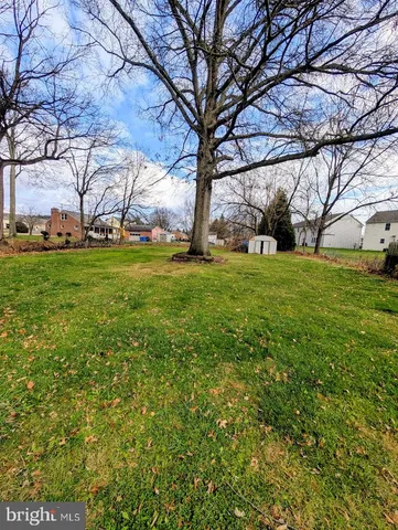 a view of yard with tree