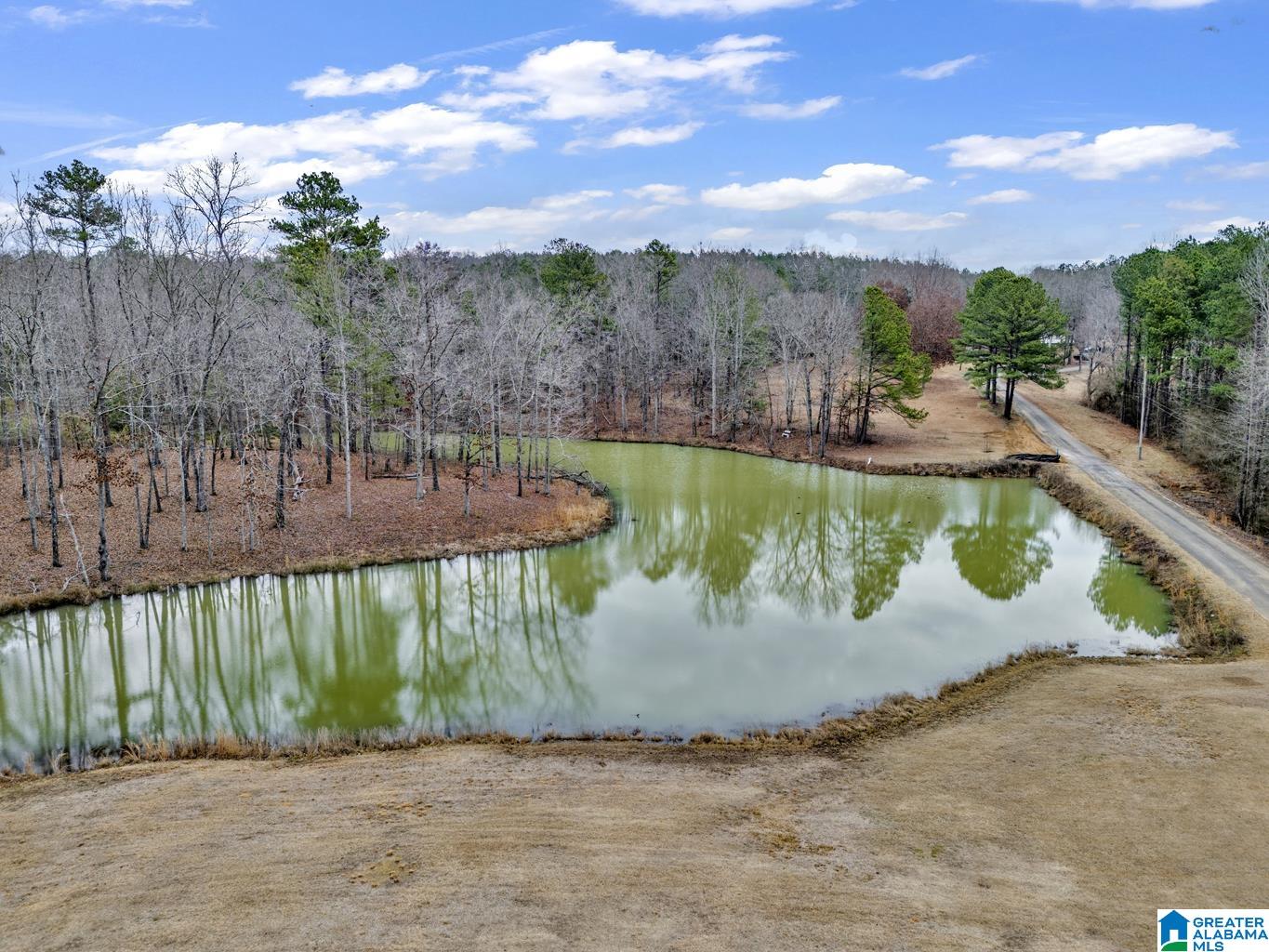 335 Clayton Road Jasper, AL 35504 - Photo 47 of 65 Gallery Image 47