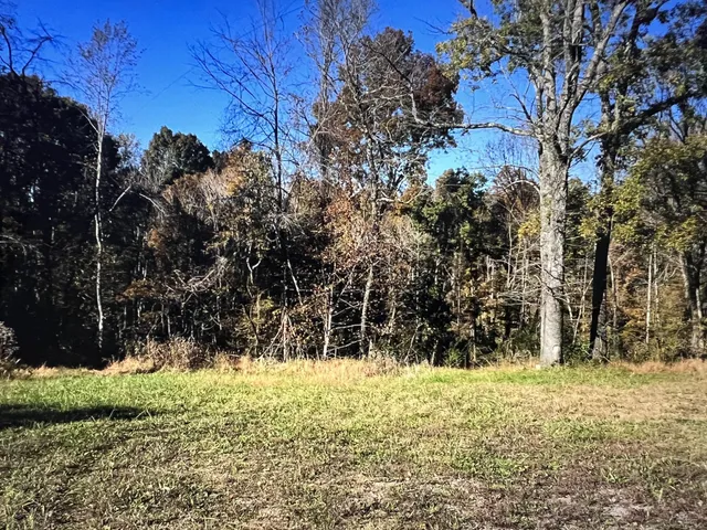 a view of outdoor space