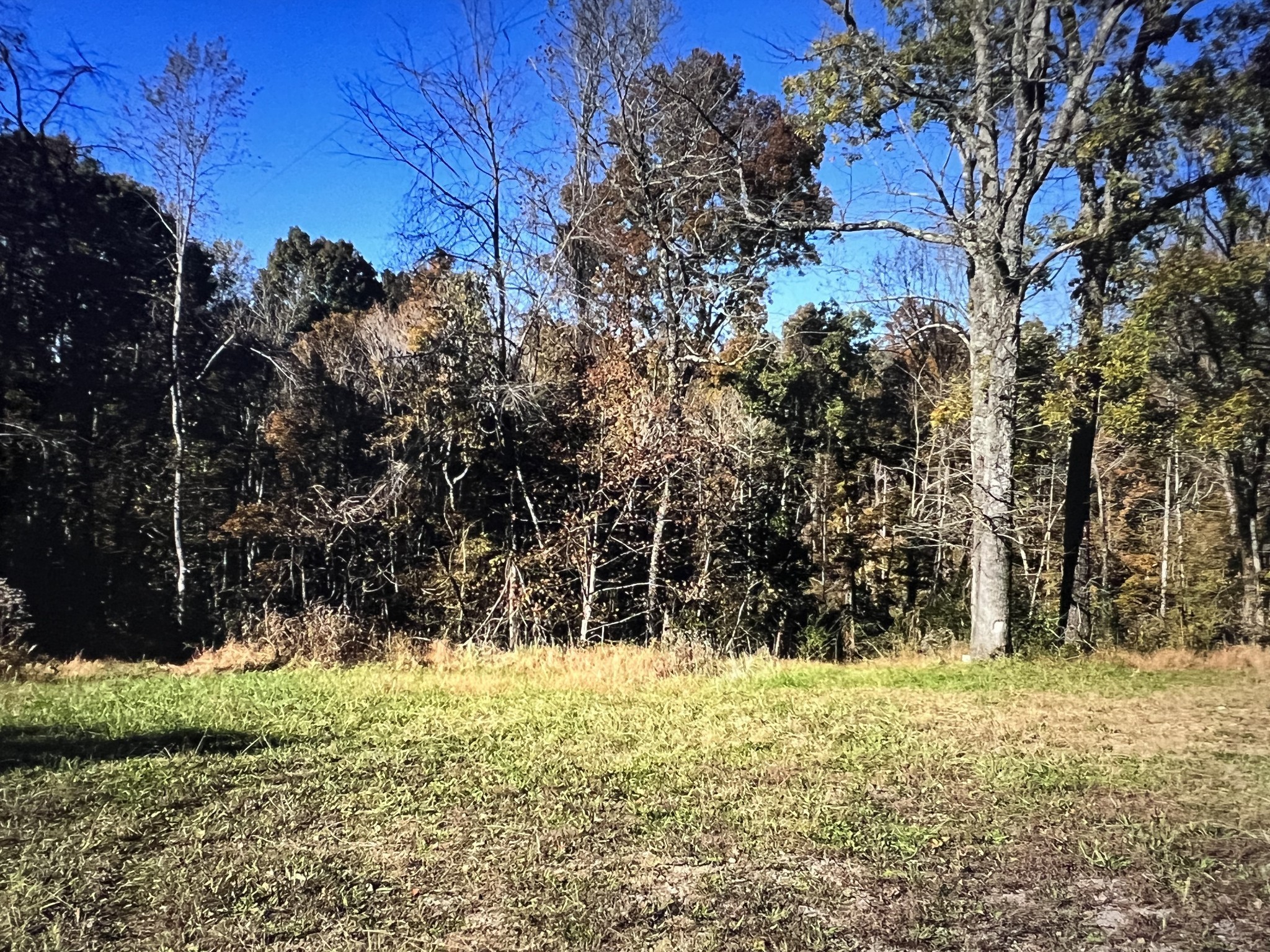 1366 Ridge Circle Joelton, TN 37080 - Photo 2 of 6 a view of outdoor space