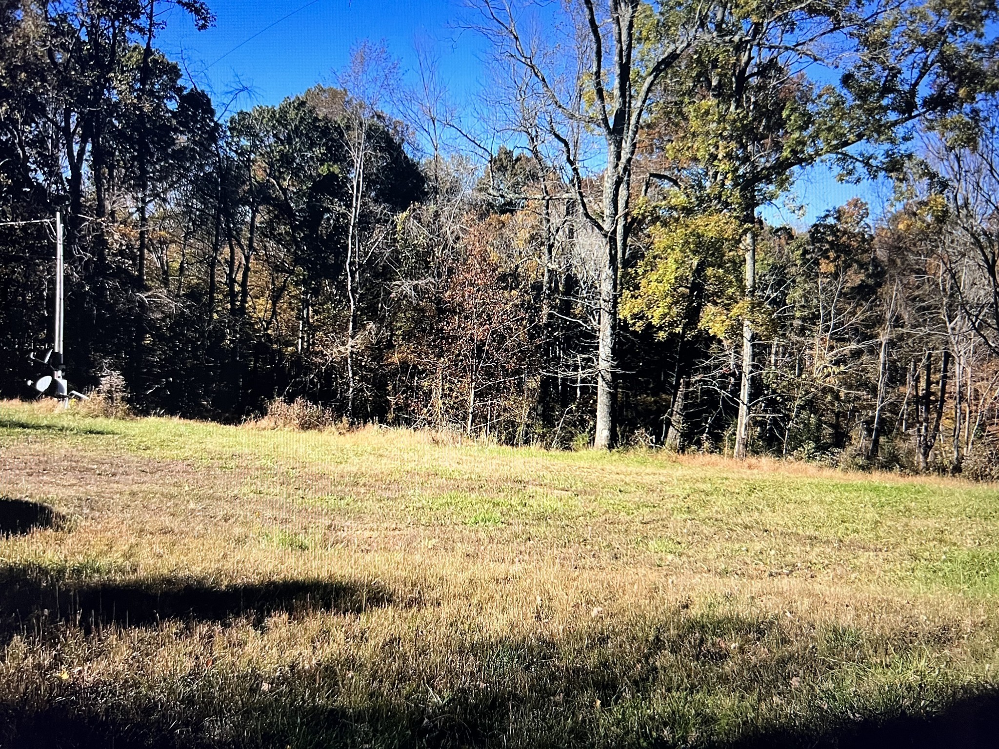 1366 Ridge Circle Joelton, TN 37080 - Photo 4 of 6 a view of ocean with large trees