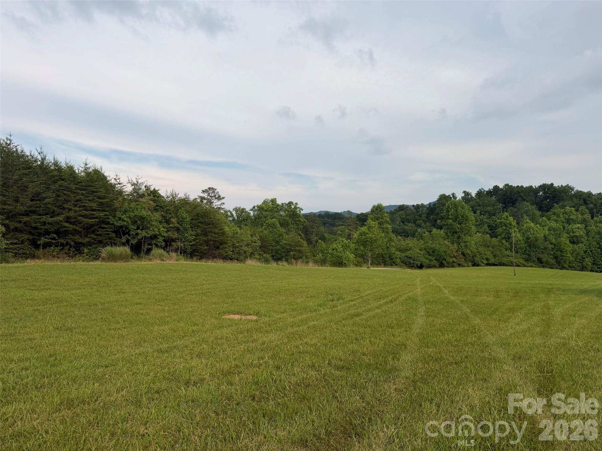 Lot 5 Parker Padgett Road Old Fort, NC 28762 - Photo 5 of 12