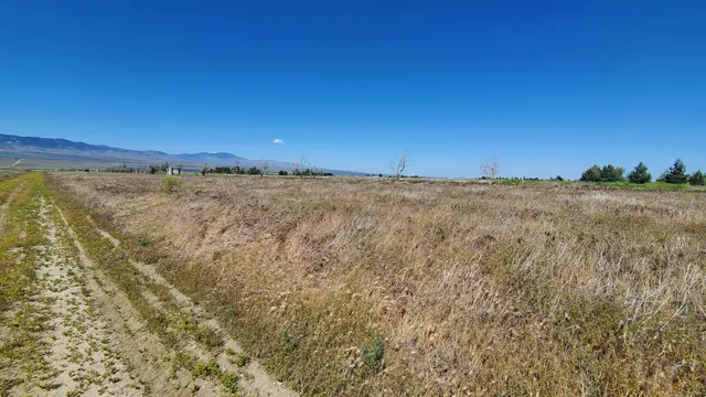 a view of a large green field with lots of bushes