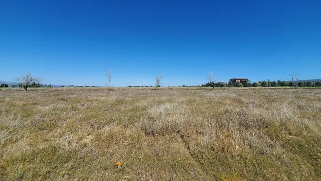 a view of road with large trees