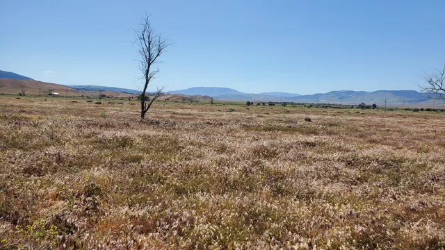 a view of an outdoor space and a yard