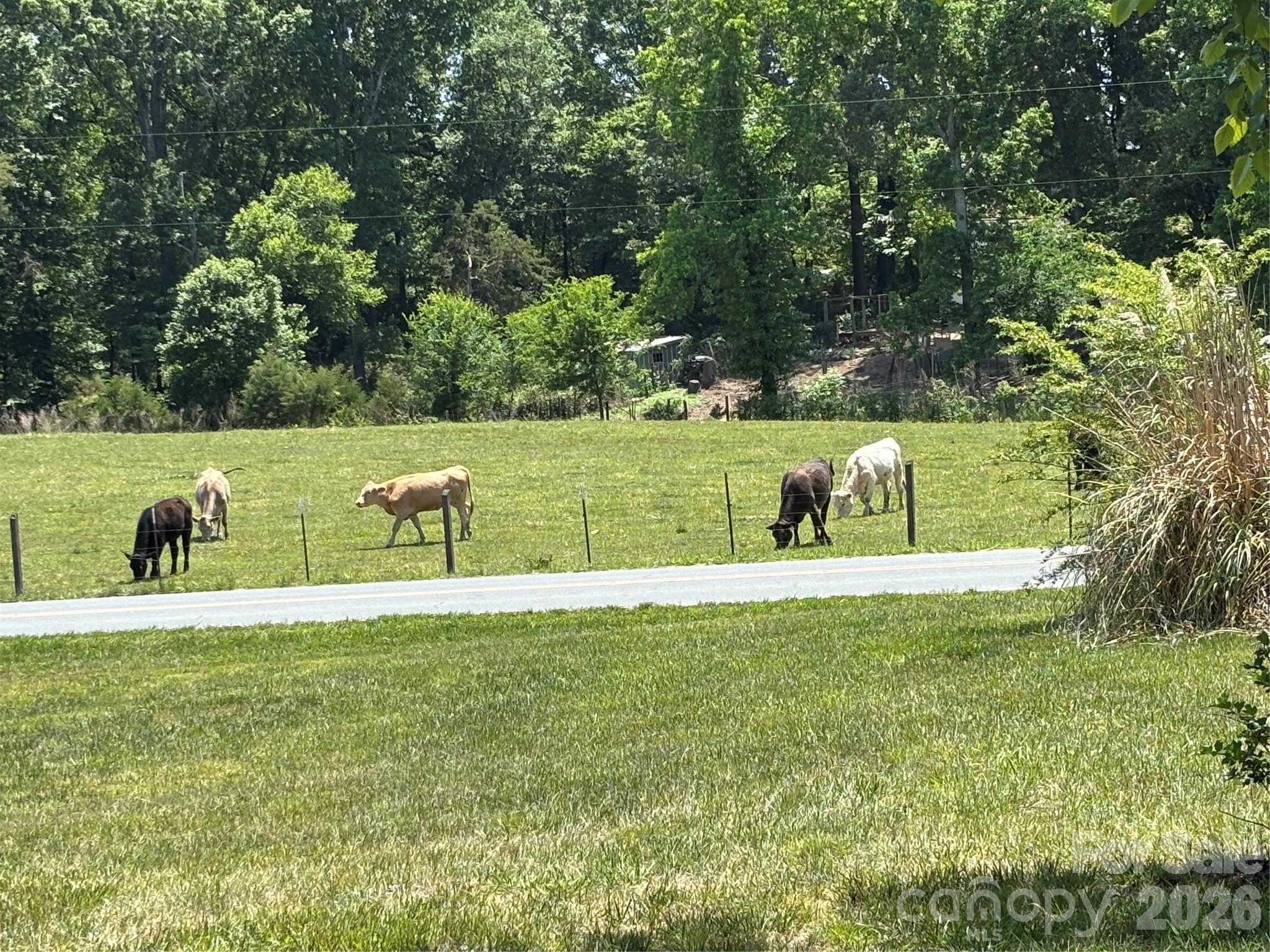 12435 Philadelphia Church Road Stanfield, NC 28163 - Photo 3 of 28