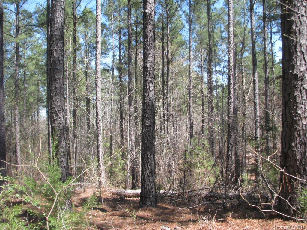 55 Hardin Strait Road Chester, SC 29706 - Photo 2 of 7 a view of a forest with trees
