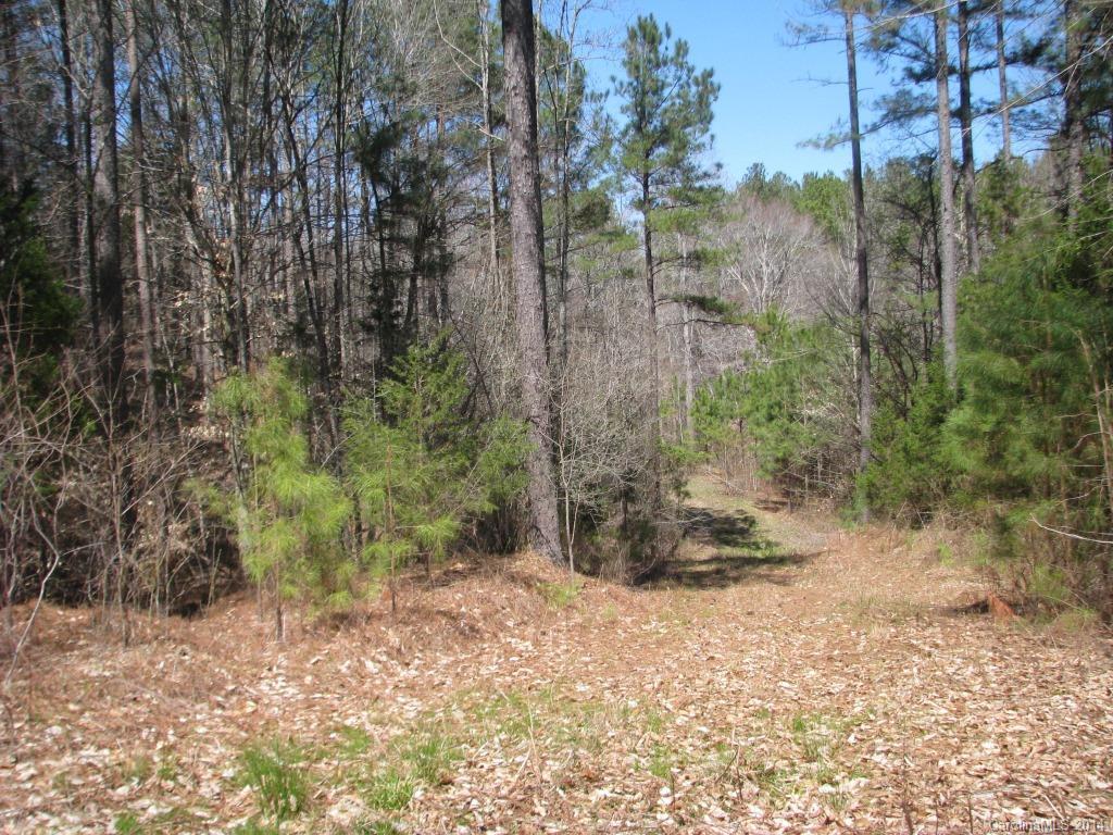 55 Hardin Strait Road Chester, SC 29706 - Photo 4 of 7 a view of a forest filled with trees
