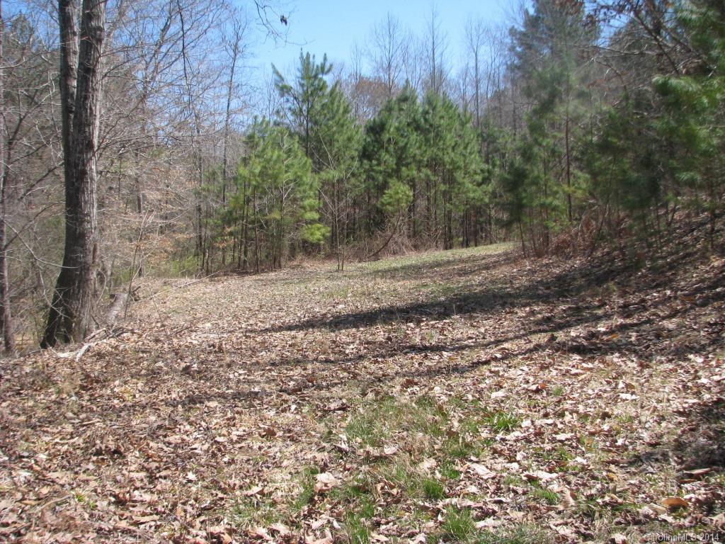 55 Hardin Strait Road Chester, SC 29706 - Photo 5 of 7 a view of a yard with plants and trees