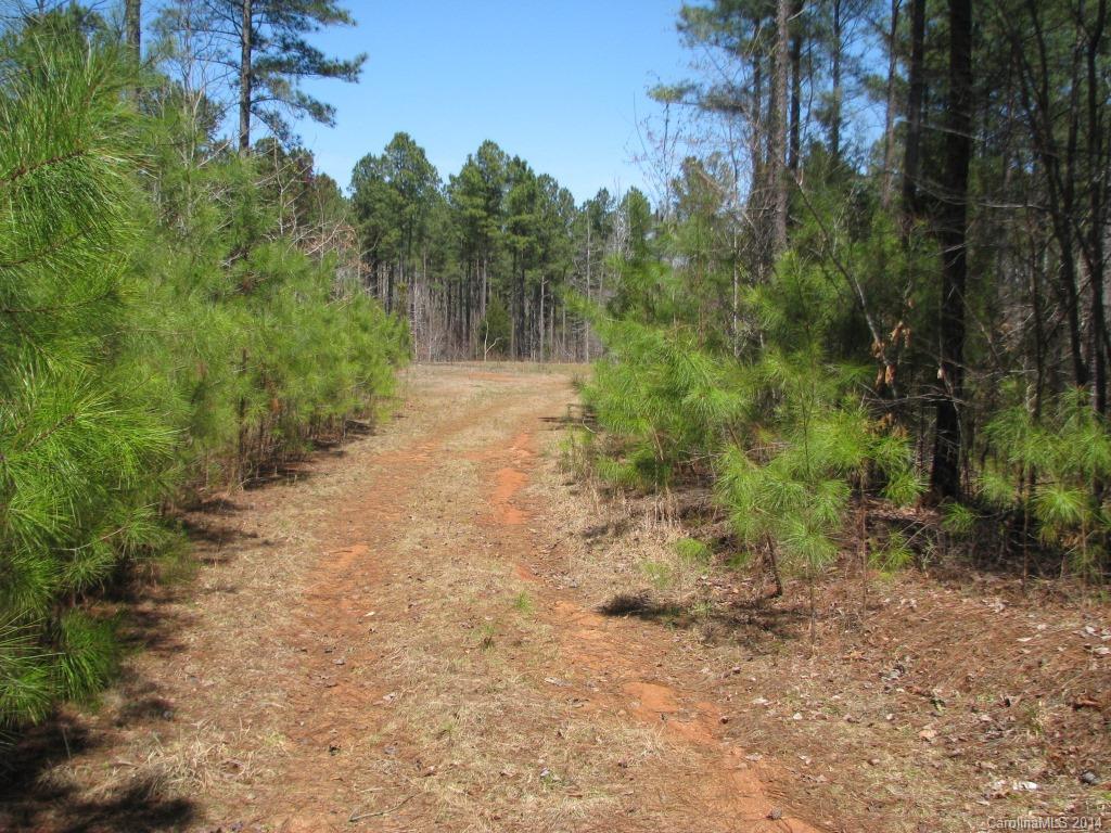 55 Hardin Strait Road Chester, SC 29706 - Photo 6 of 7 a big yard with lots of green space and deers