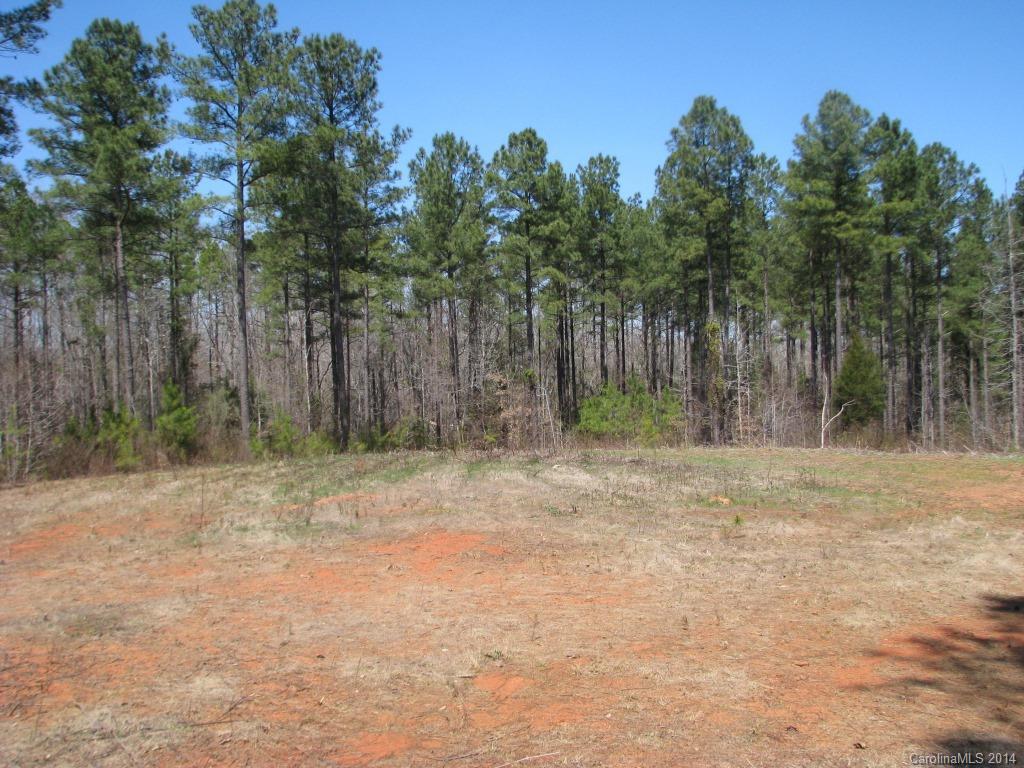 55 Hardin Strait Road Chester, SC 29706 - Photo 7 of 7 a backyard of a house with lots of trees