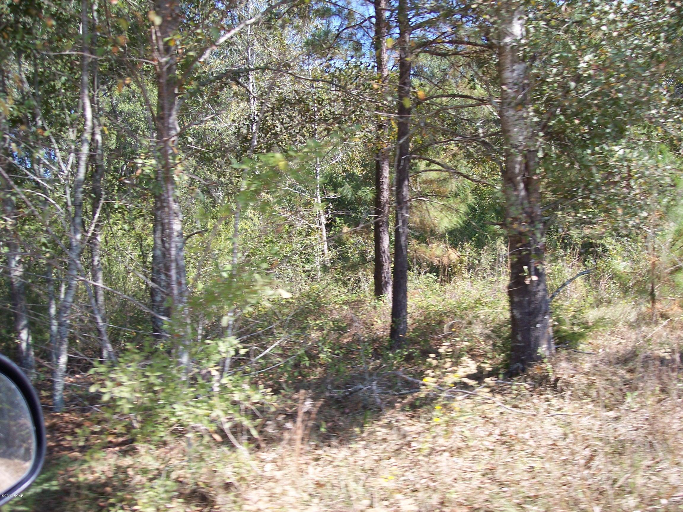 1251 Bunker Road Graceville, FL 32440 - Photo 3 of 8 Gallery Image 3