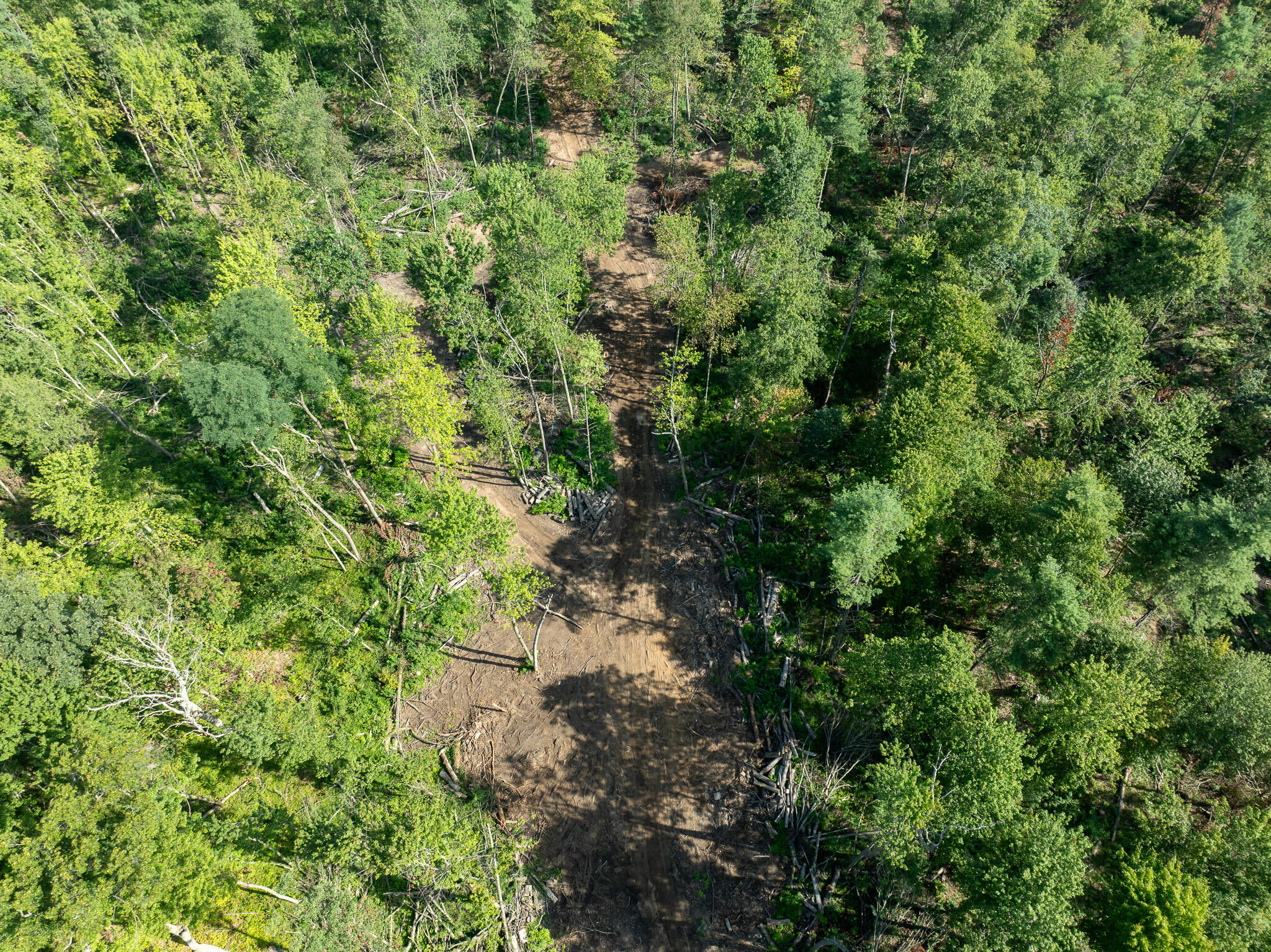 Vl Swenson Road Holton, MI 49425 - Photo 32 of 46 DJI_0583