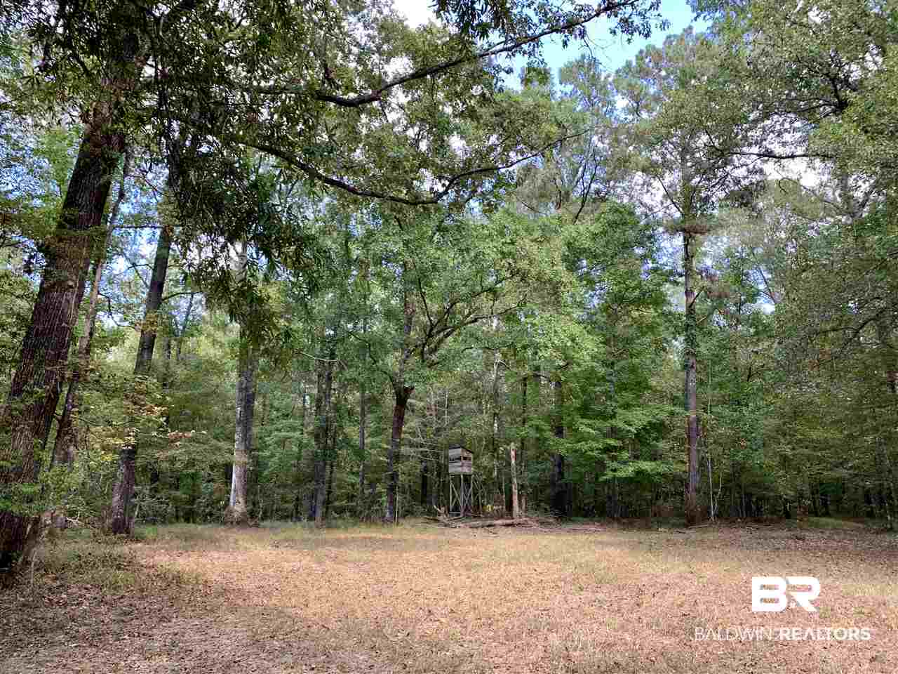 0 Holly Creek Road Stockton, AL 36579 - Photo 17 of 50